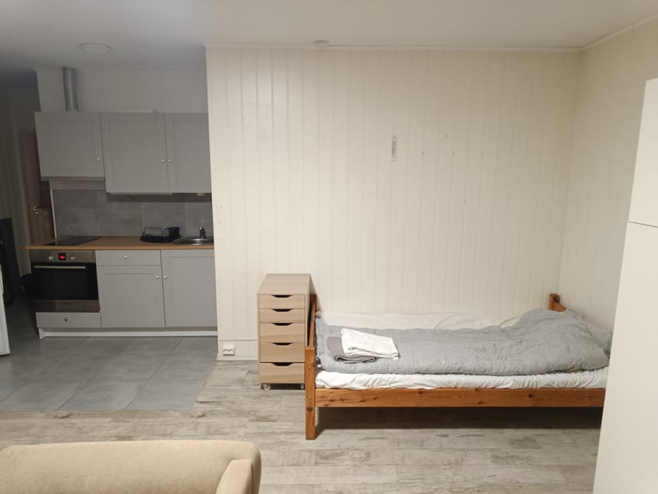 Myklebostad Apartment in Lofoten
