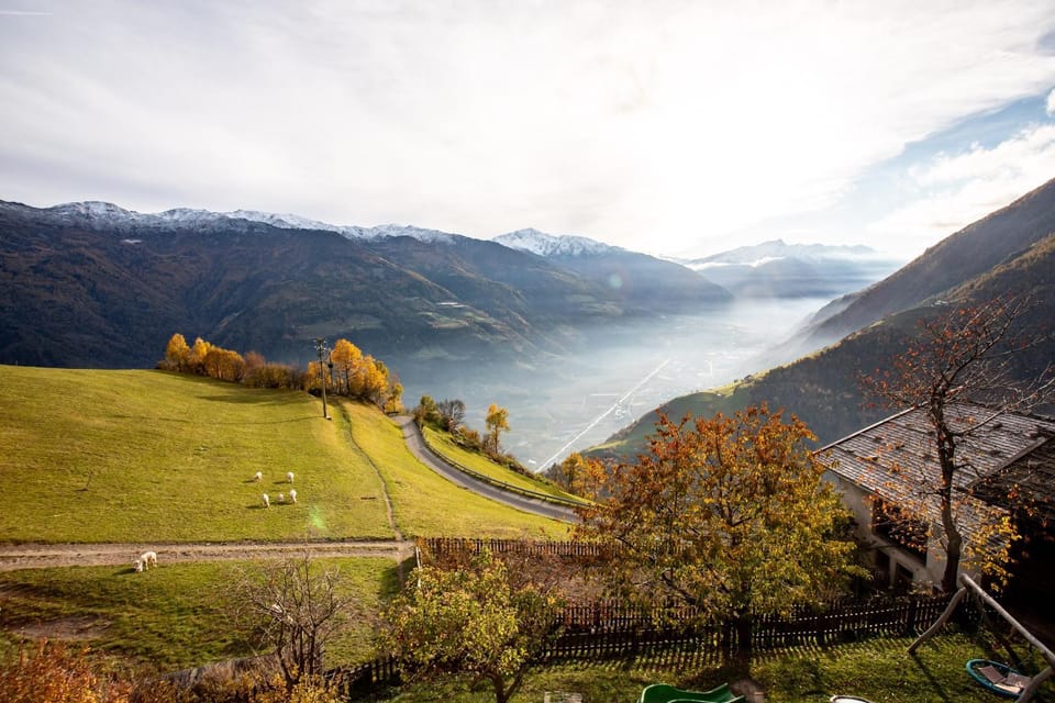 Waldes Duft Apartment - Patleidhof Apartment in Trentino-South Tyrol