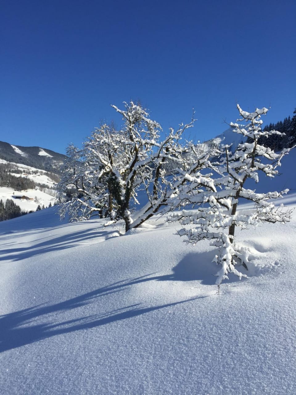 Day, Natural landscape, Winter