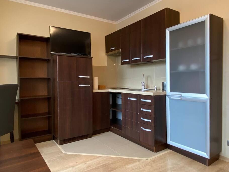 Kitchen or kitchenette, Photo of the whole room, Area and facilities, minibar, stove, wardrobe