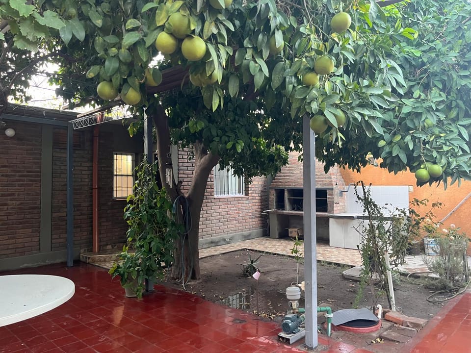 Patio, Garden, Garden view