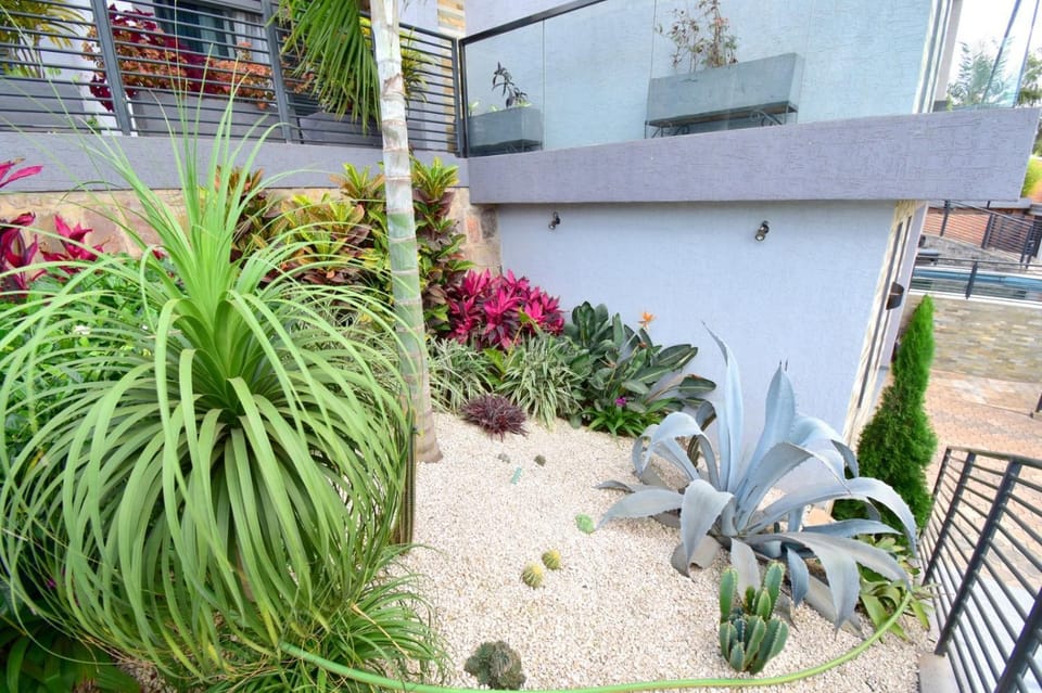 Day, Garden, Garden view