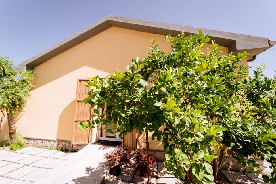 Property building, Day, Garden