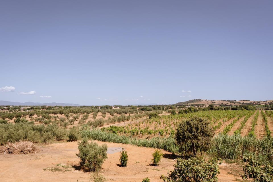 Natural landscape, Mountain view