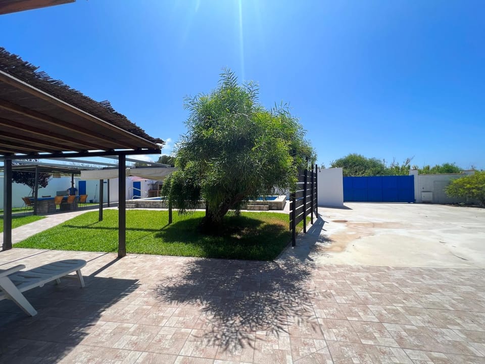 Day, Garden, Garden view