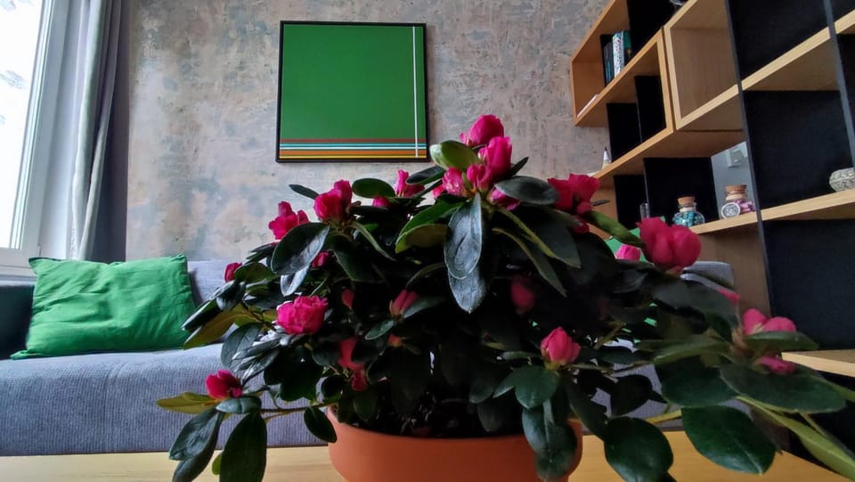 Isac 15 Central Apartment Apartment in Cluj-Napoca