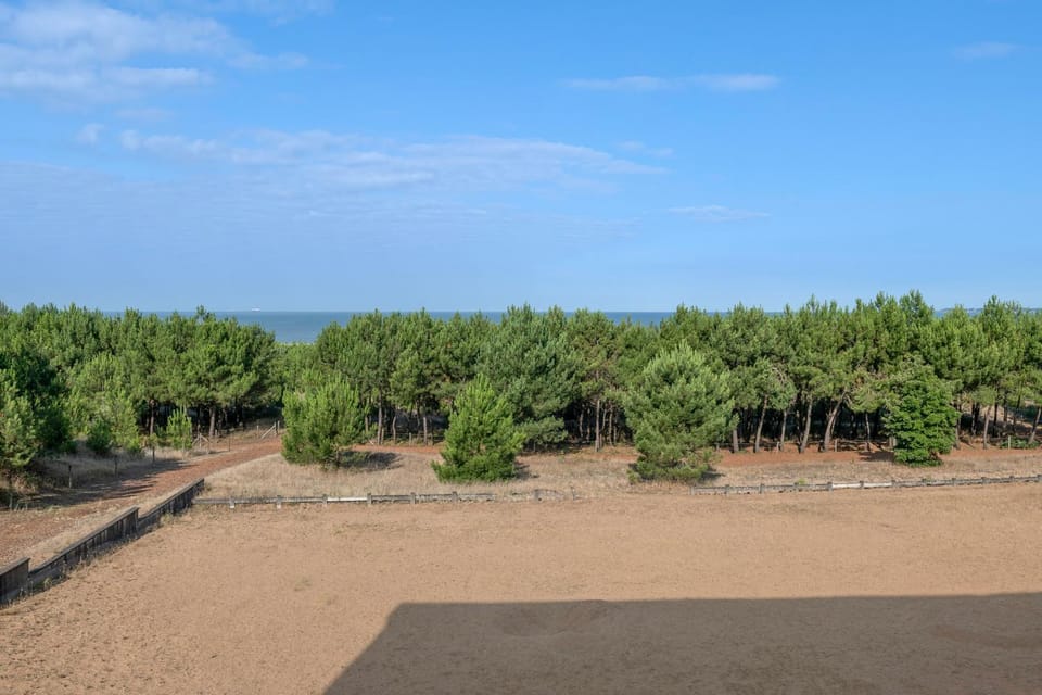 View (from property/room)