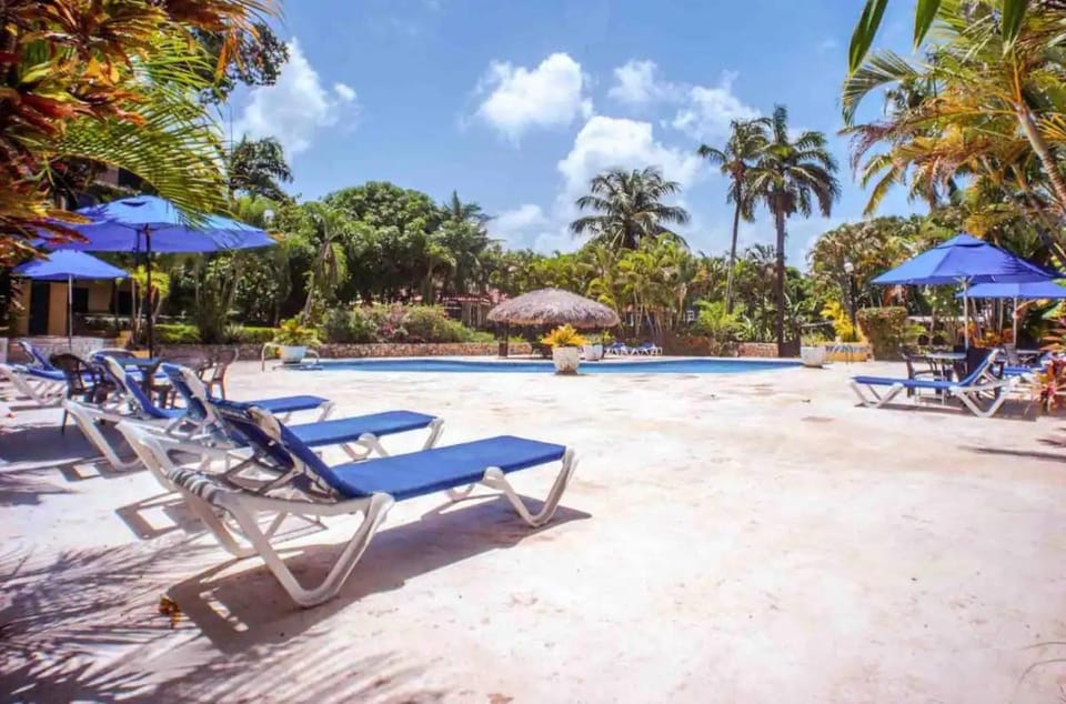 Swimming pool, sunbed