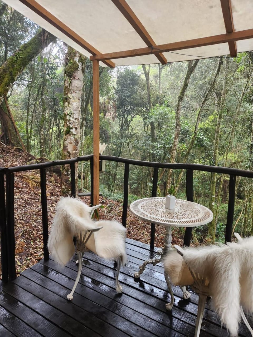 View (from property/room), Balcony/Terrace, Seating area, Dining area, Garden view