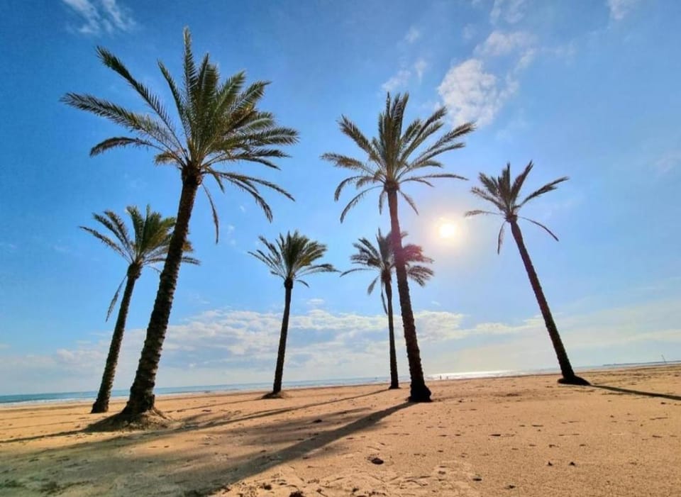 ROSA House in Ribera Baixa