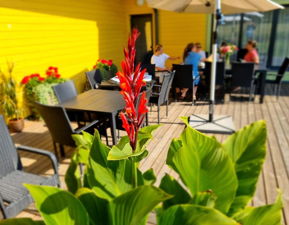 Patio, Restaurant/places to eat