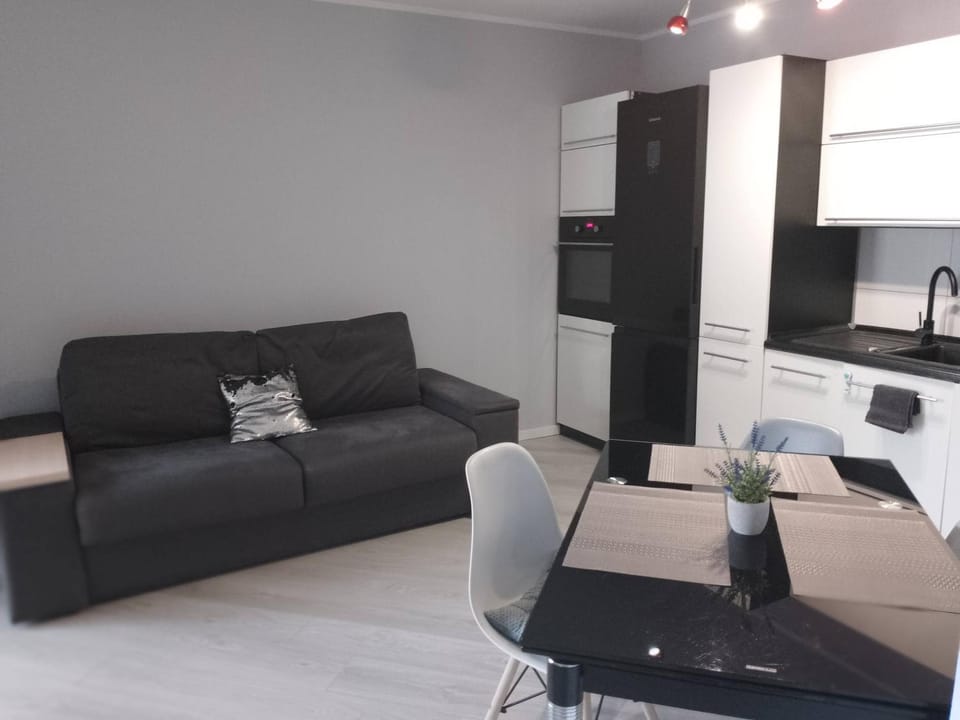 Apartament Zalesie z tarasem Apartment in Lower Silesian Voivodeship