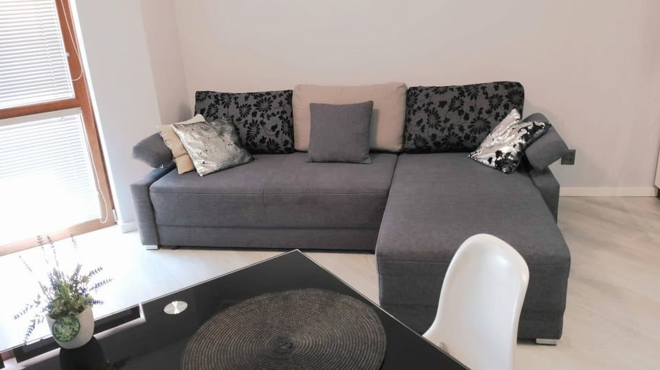 Apartament Zalesie z tarasem Apartment in Lower Silesian Voivodeship