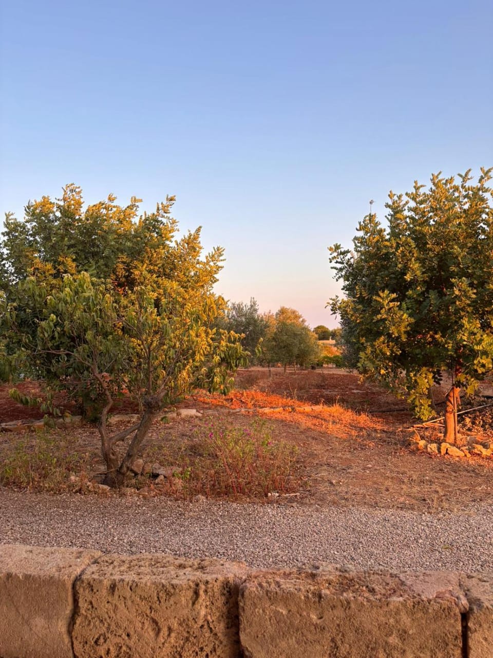 Natural landscape