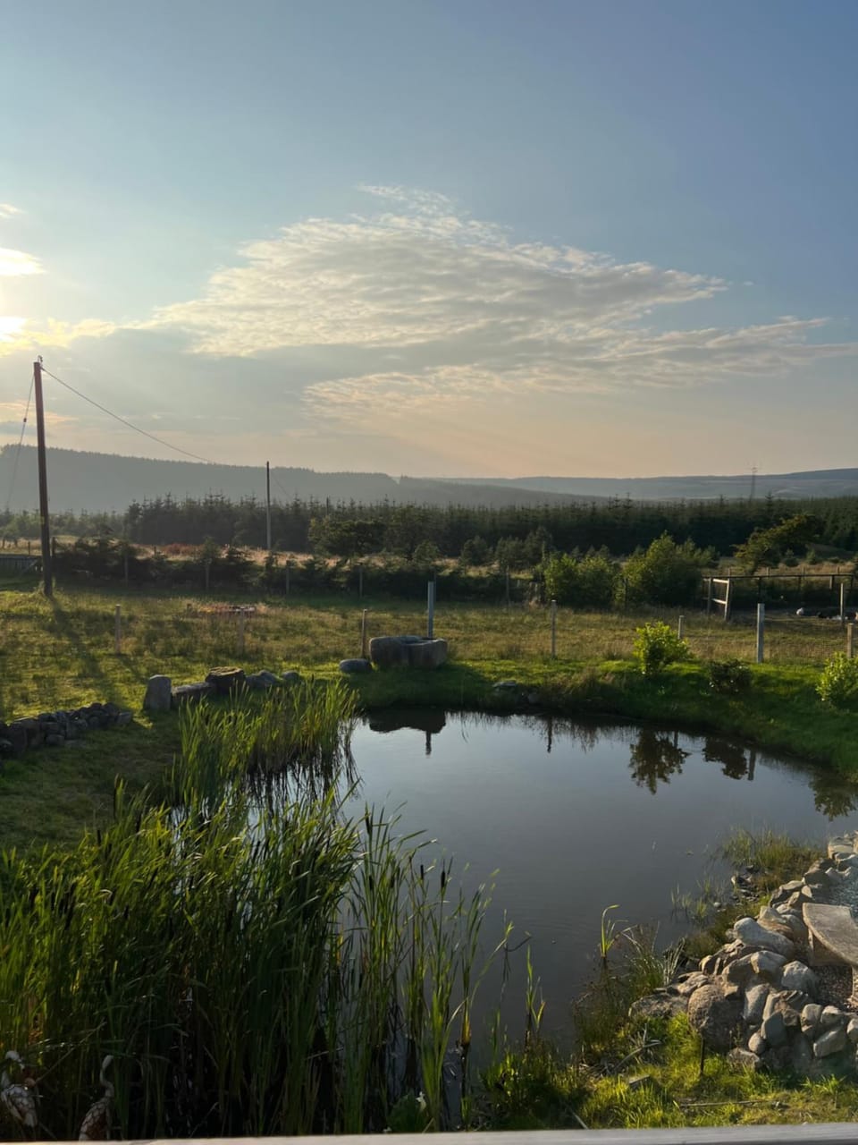 Maneight Luxury Lodge with hot tub Apartment in England