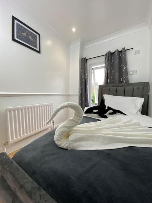 Bed, Photo of the whole room, Bedroom, towels