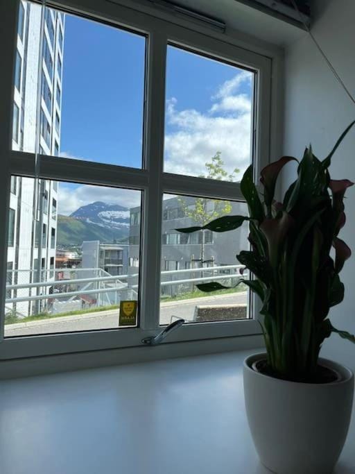 Cozy ground floor apartment Apartment in Tromso