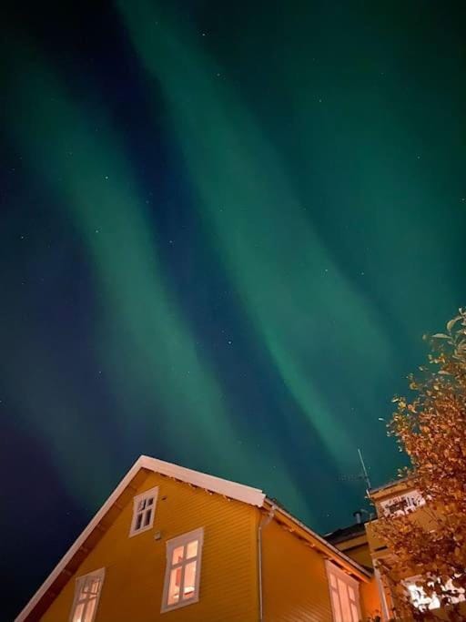 Cozy ground floor apartment Apartment in Tromso