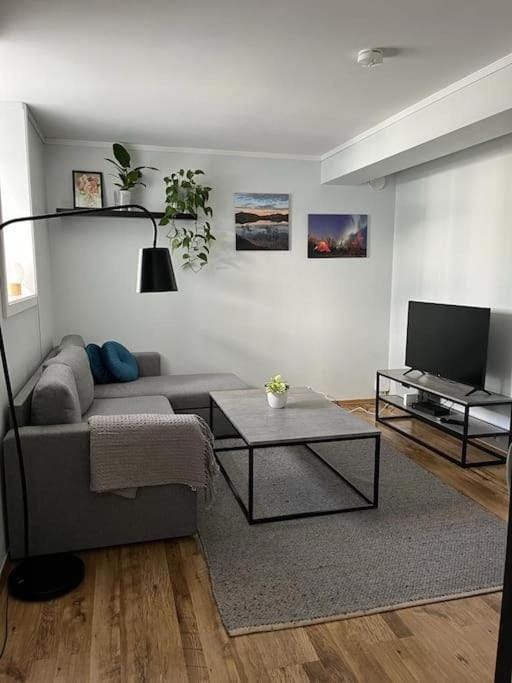 Cozy ground floor apartment Apartment in Tromso