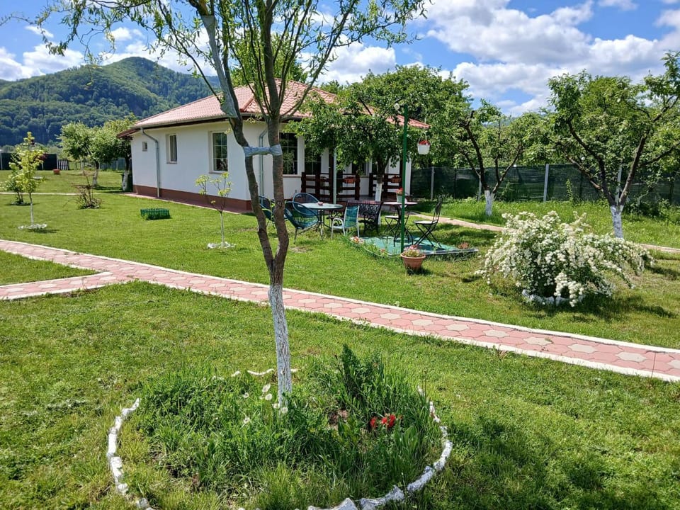 Natural landscape, Mountain view