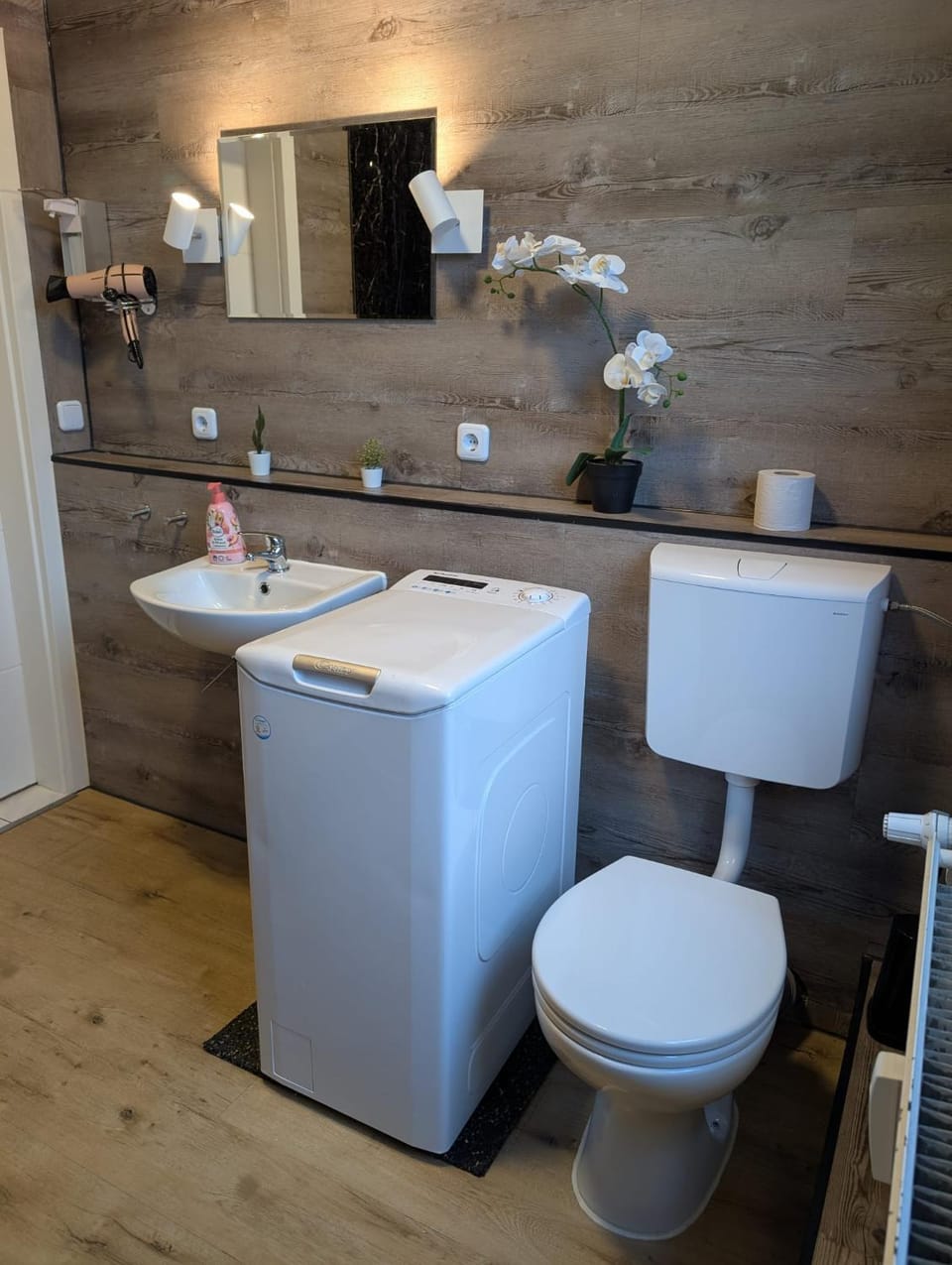 Toilet, Bathroom, Photo of the whole room, hair dryier, washing machine