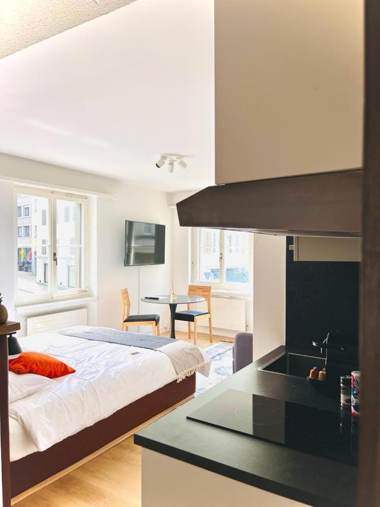 Cozy Studio Apartment Unit 12 in Center of Zurich Apartment in Zurich City