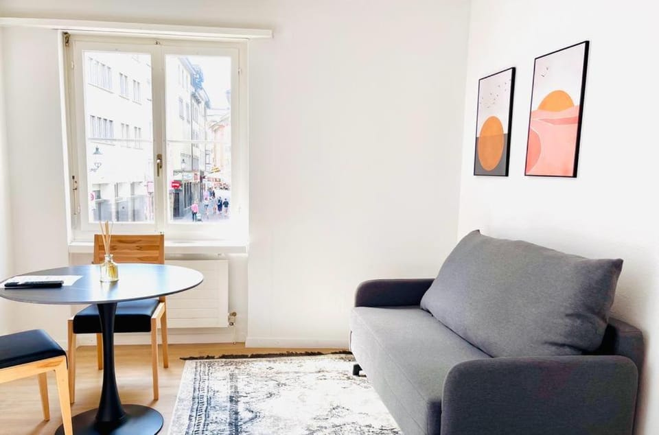 Cozy Studio Apartment Unit 12 in Center of Zurich Apartment in Zurich City