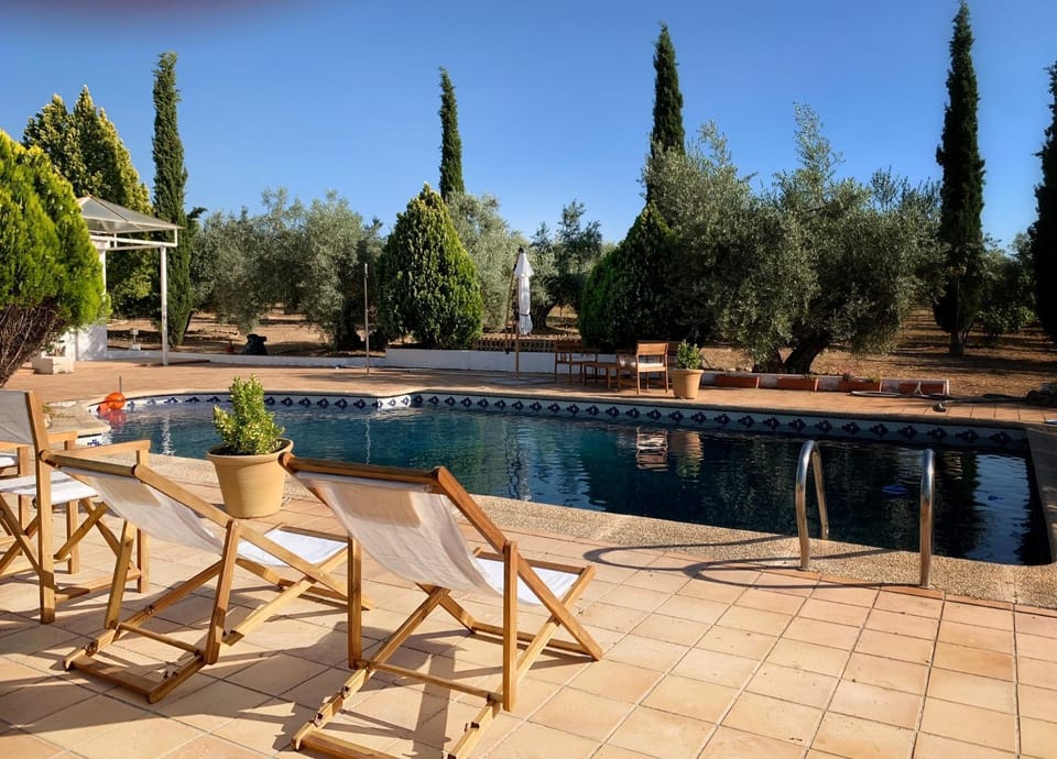 Swimming pool, Swimming pool