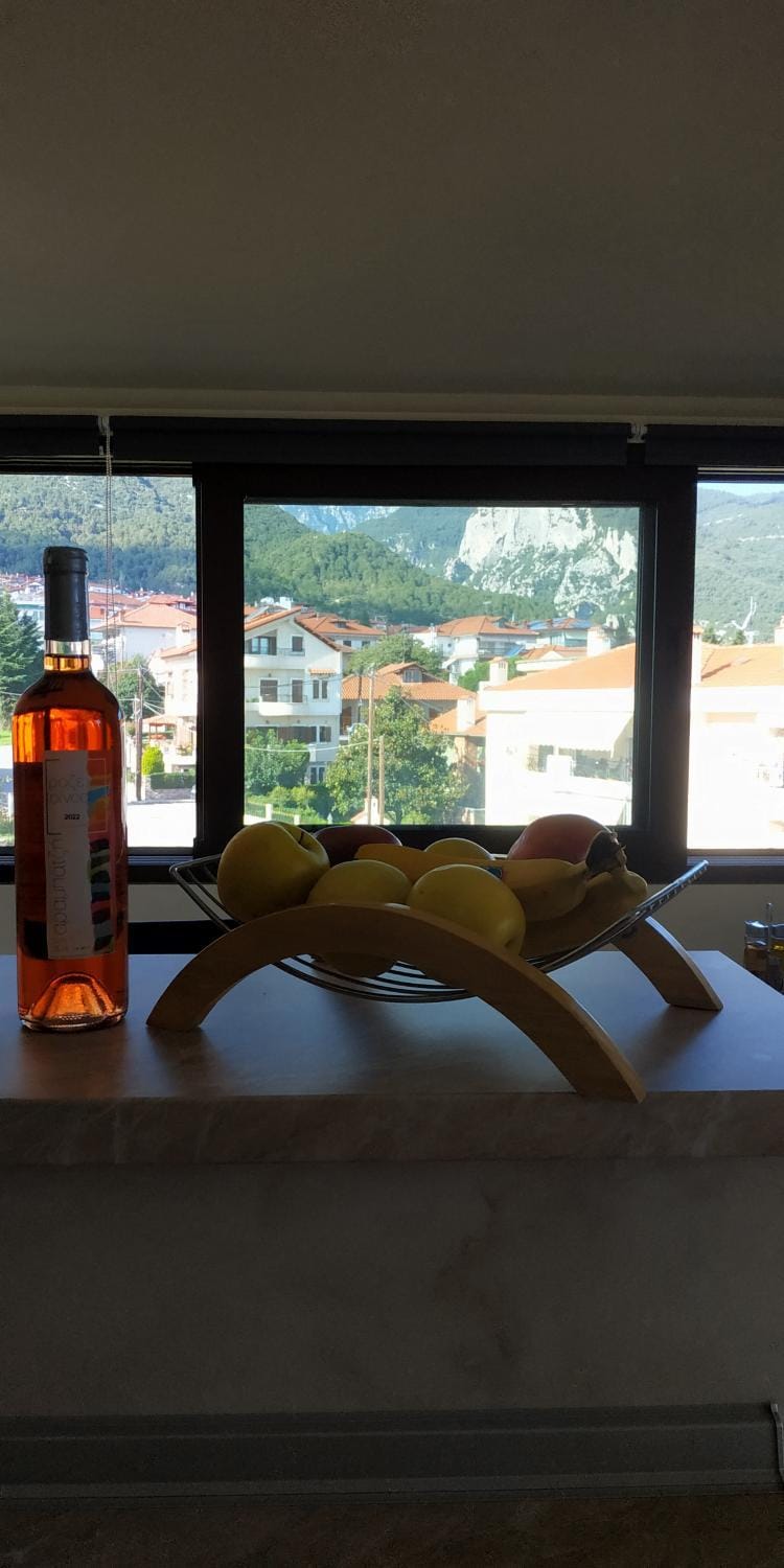 Luxury suite with Olympus and sea view Apartment in Litochoro