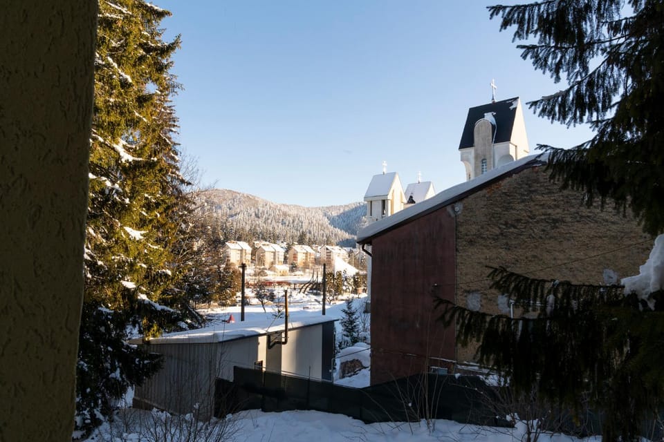 Day, Winter, Mountain view