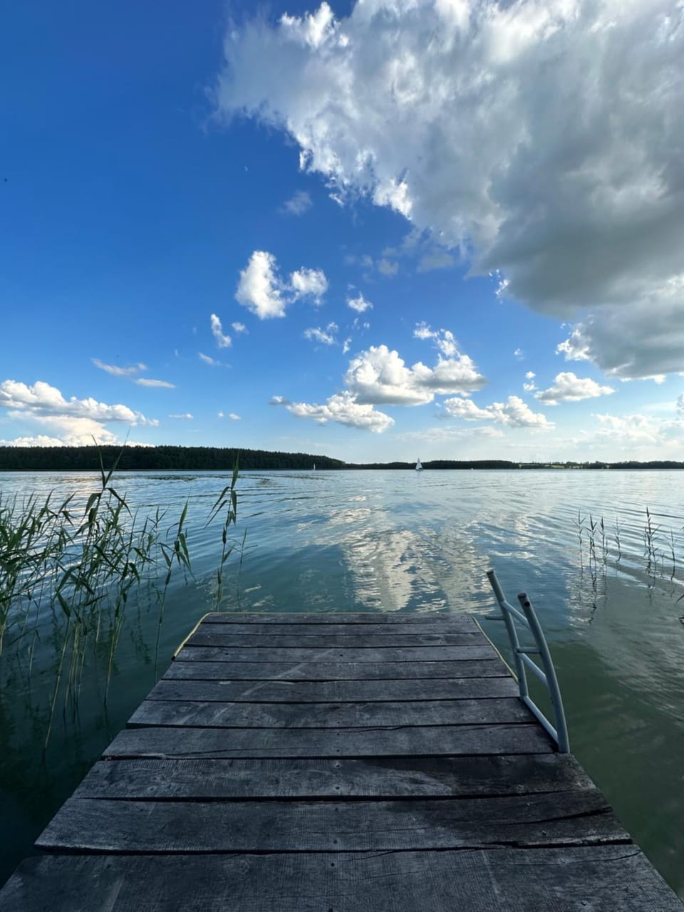 Lake view