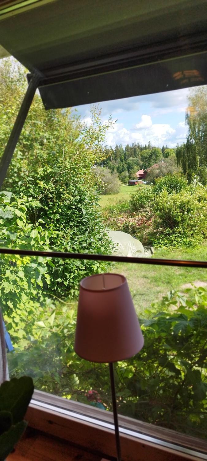 Garden view