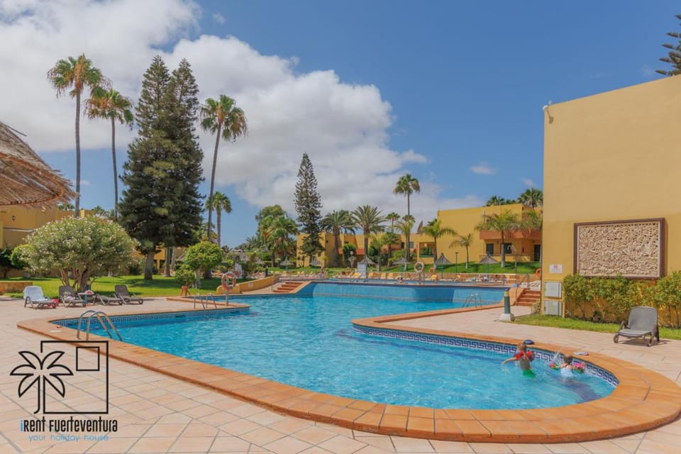 Garden, Swimming pool, sunbed