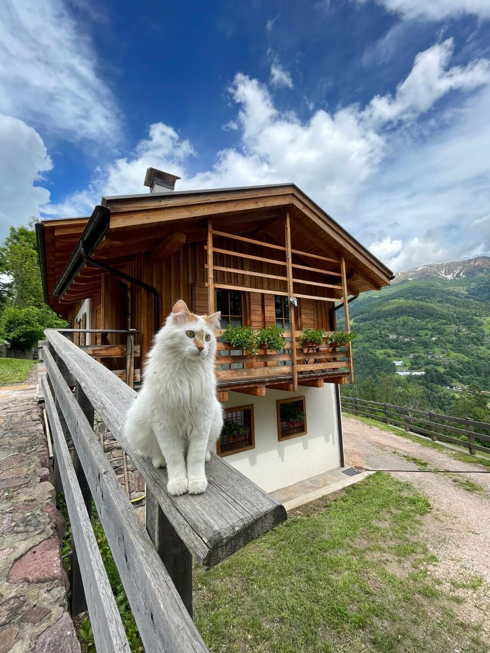 Il nido al Maso Maoro House in Trentino-South Tyrol