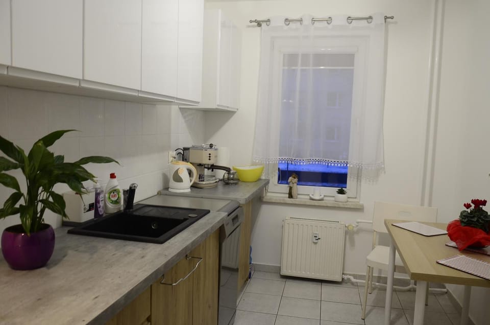 Willow Apartment in Pomeranian Voivodeship