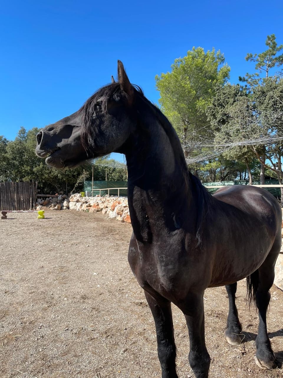 les gites du parc animalier de ginasservis Apartment hotel in French Riviera