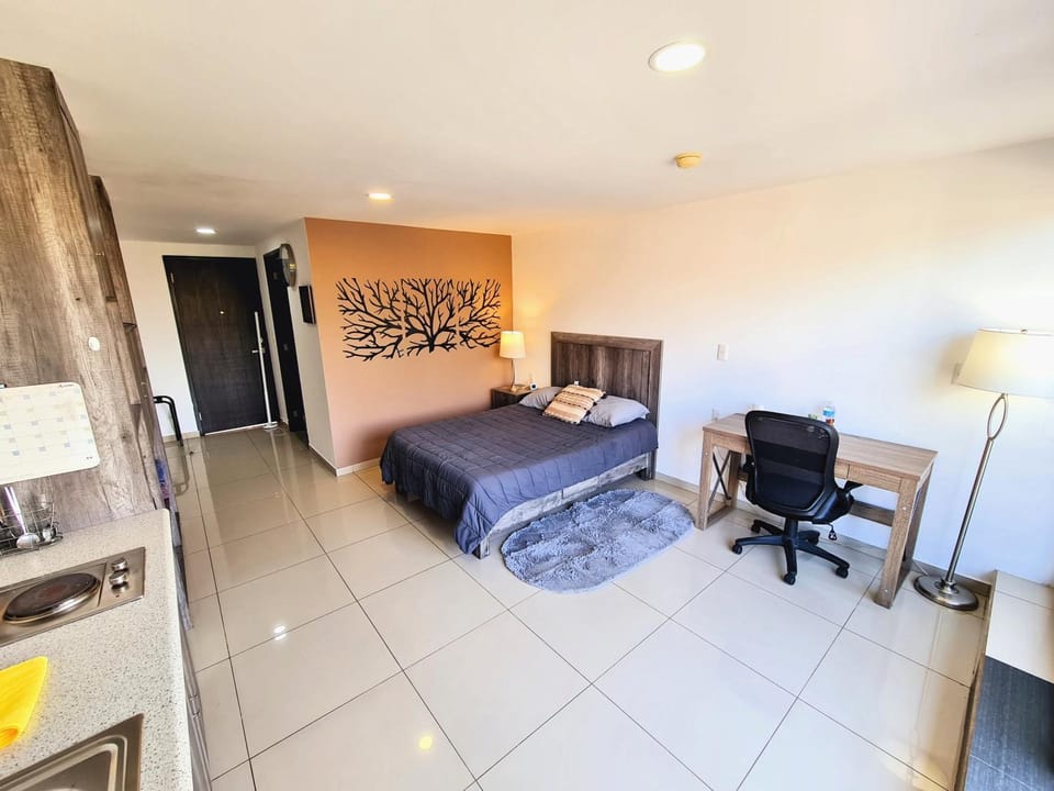 Bed, Kitchen or kitchenette, Living room, Photo of the whole room, Seating area