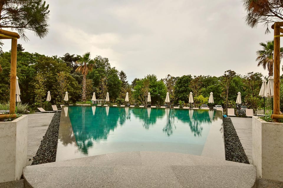 Day, Natural landscape, Garden, Swimming pool