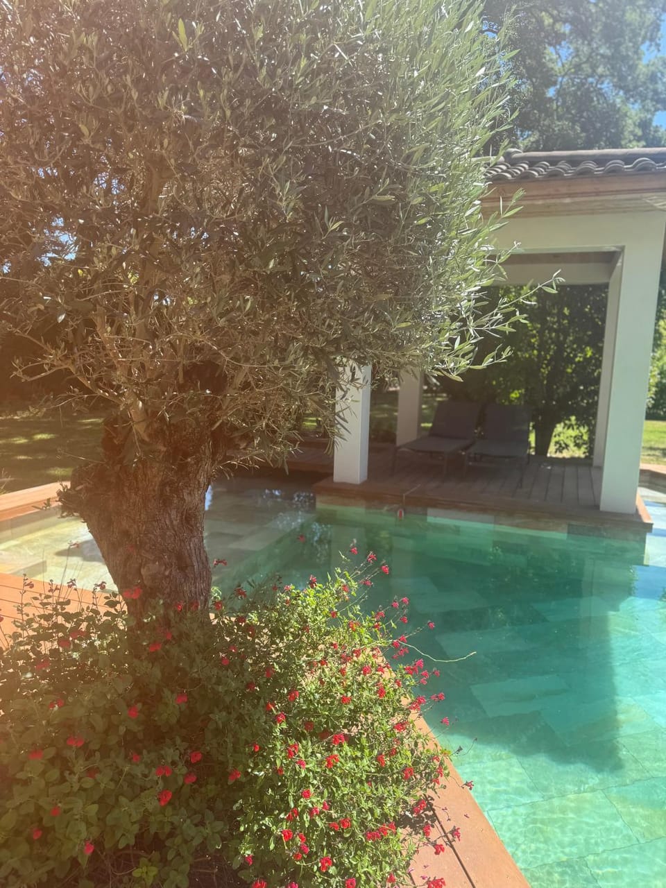 Villa d’exception Montpellier Villa in Saint-Jean-de-Védas
