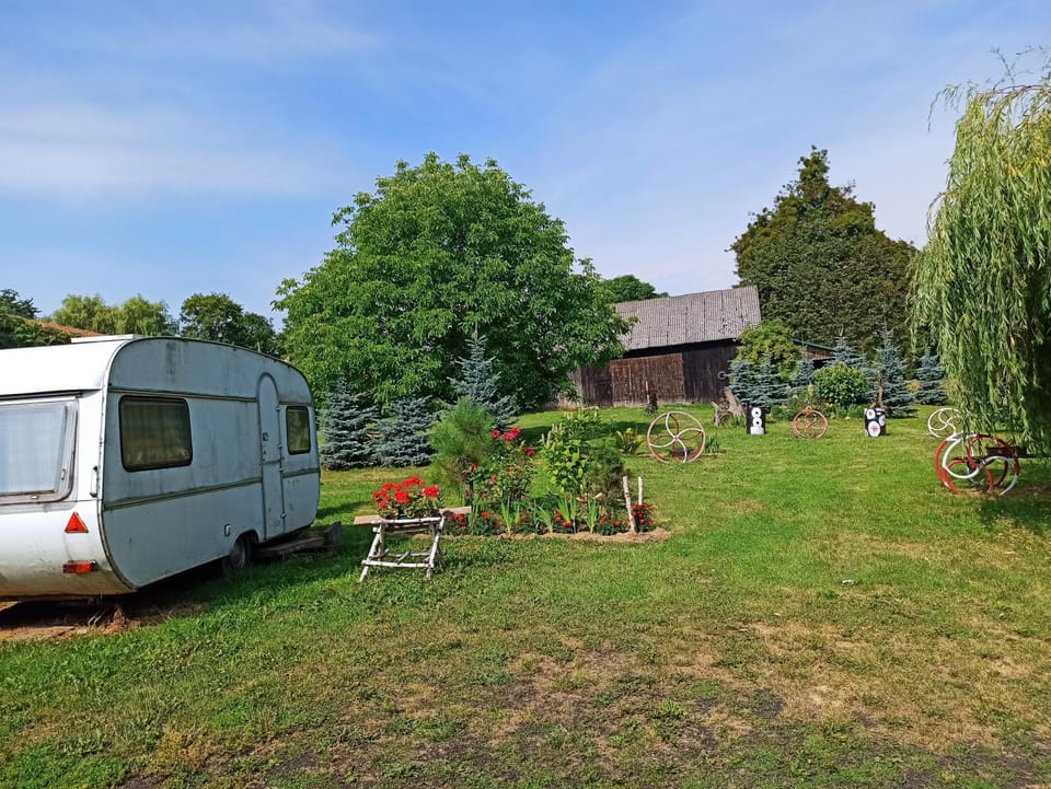 Garden, Garden view