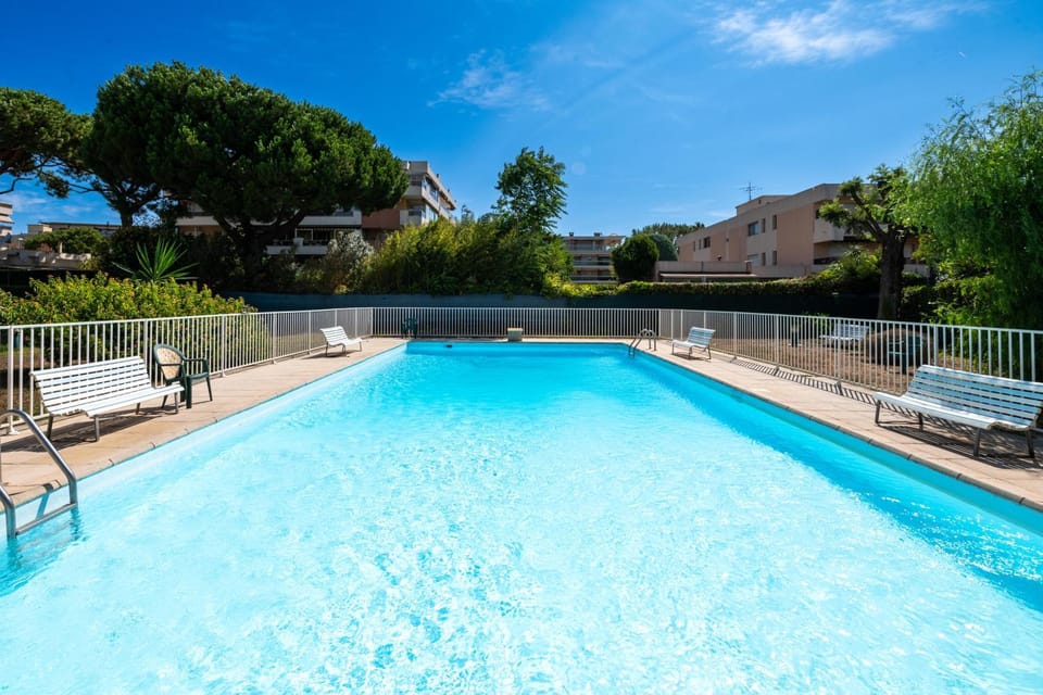 Garden, Beach, Swimming pool, sunbed
