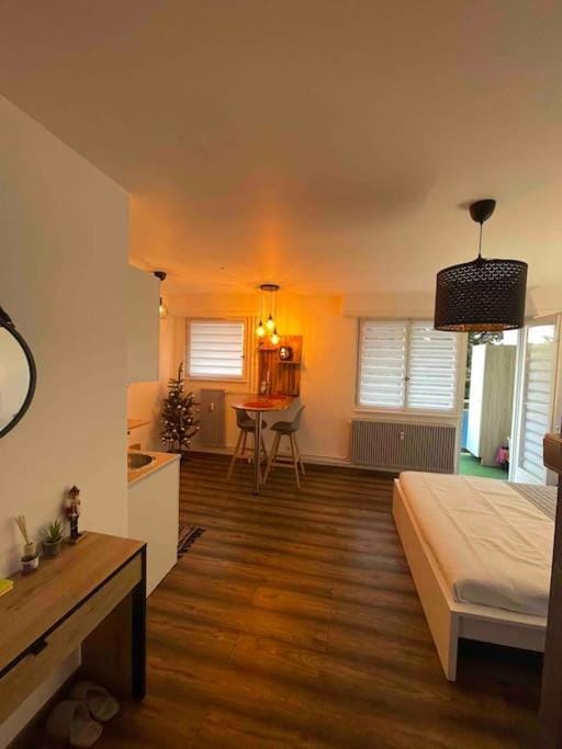 Grand Studio lumineux en plein de cœur de Strasbourg Apartment in Strasbourg