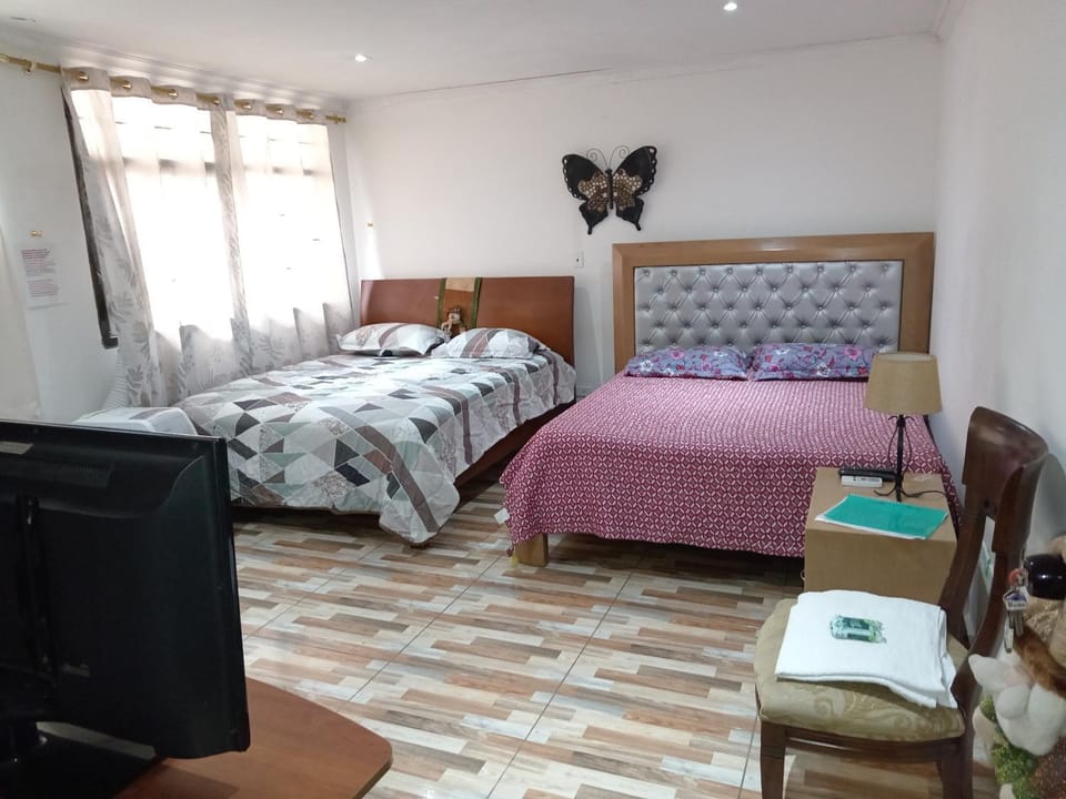 Bed, TV and multimedia, Photo of the whole room, Bedroom