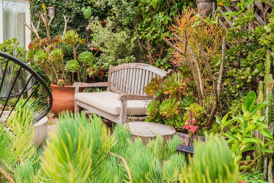 Spring, Day, Garden, Garden view