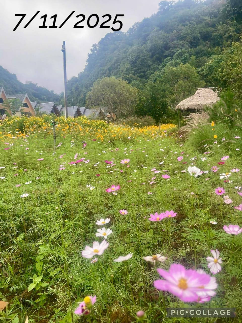 Day, Natural landscape