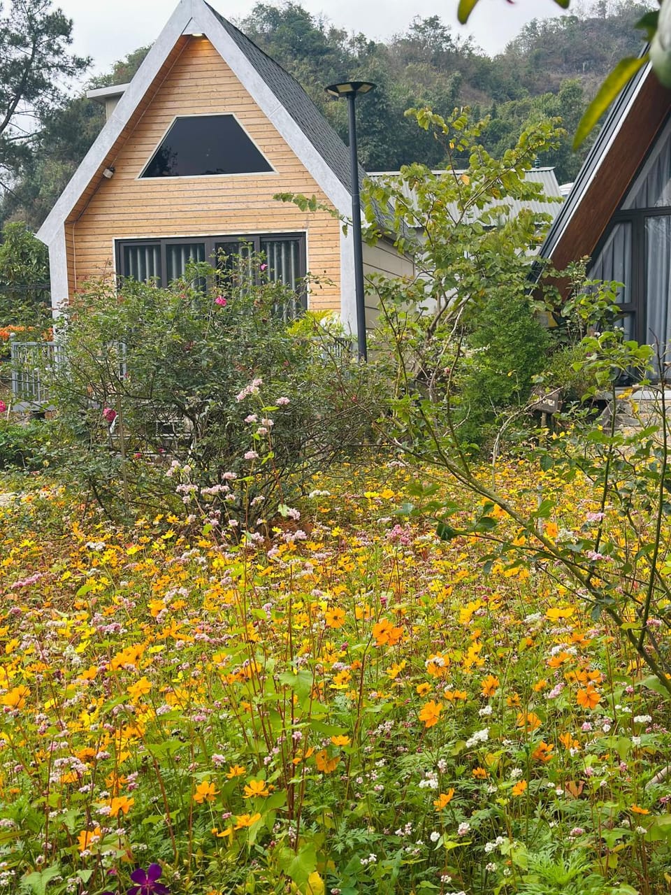 Property building, Spring, Day, Natural landscape, Garden, Garden view