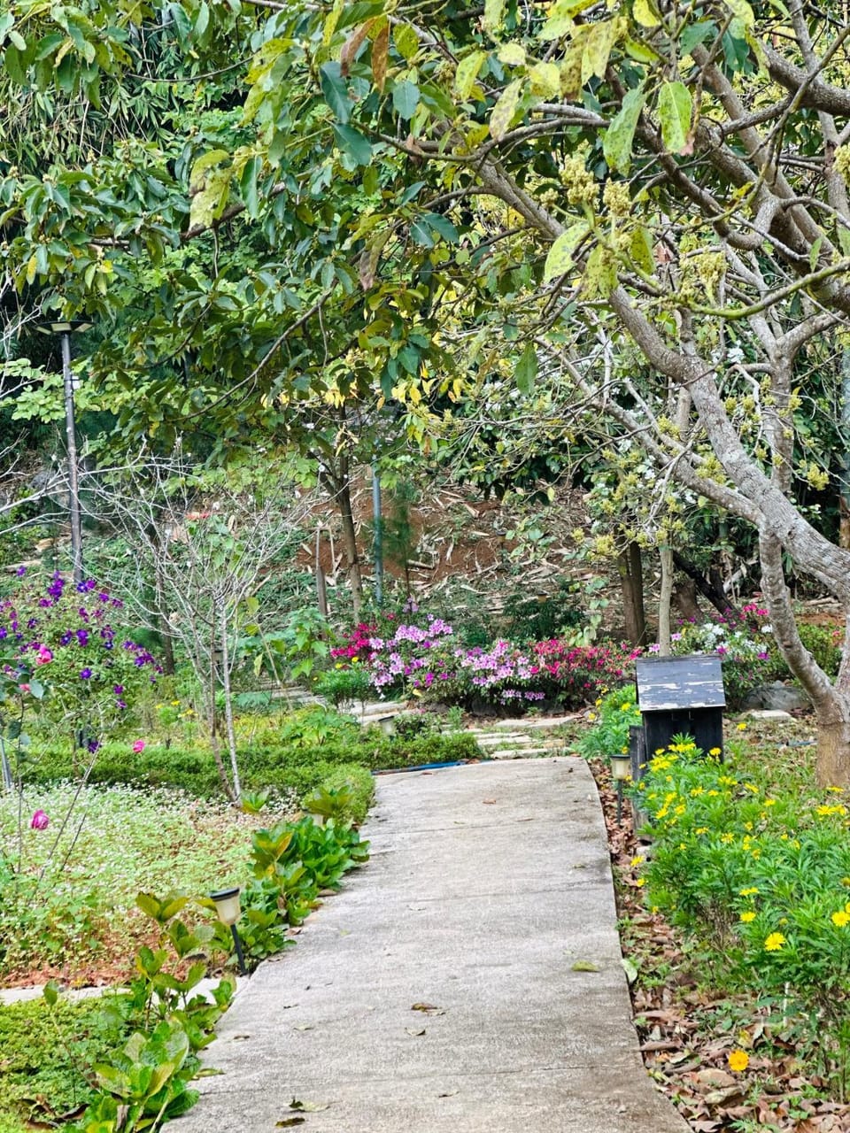 Spring, Day, Natural landscape, Garden, Garden view