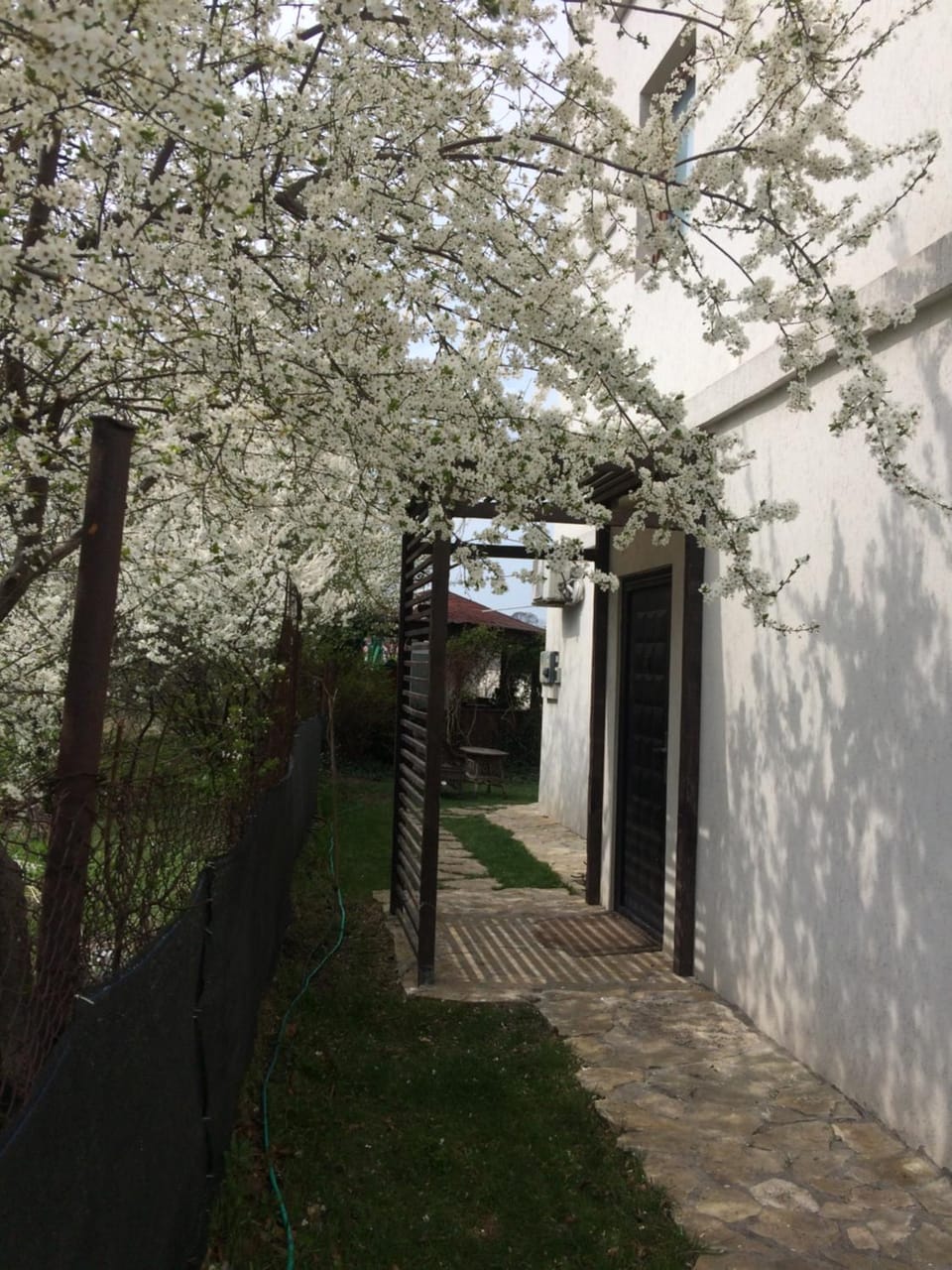 Casa Lacul Sarat Bed and Breakfast in Constanța County