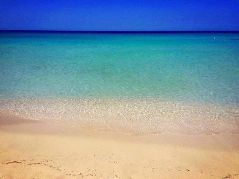 Day, Natural landscape, Beach