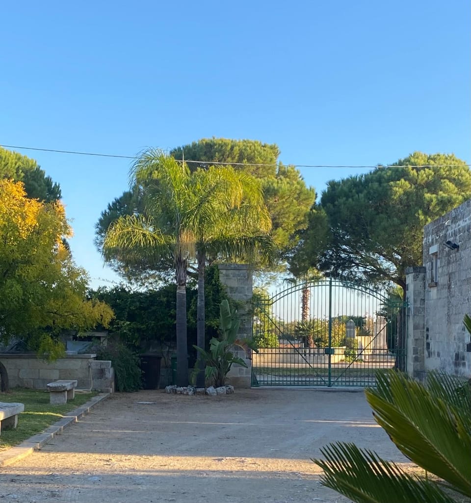 Garden, Garden view